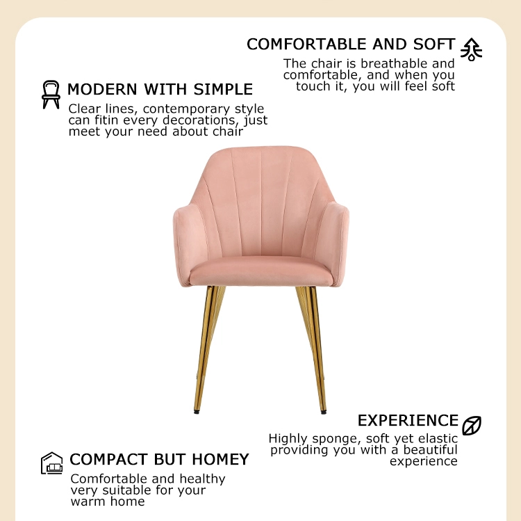 modern dining room chairs