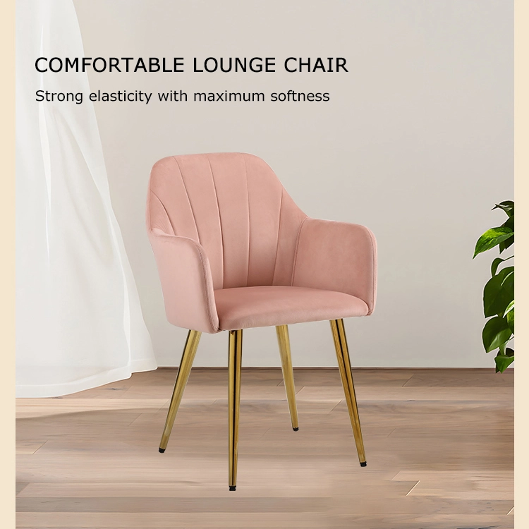 modern dining room chairs